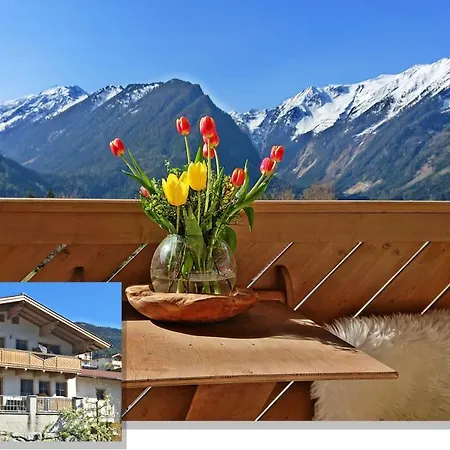 Apartament Prossegger Neukirchen am Großvenediger