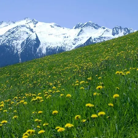 Prossegger Διαμέρισμα *