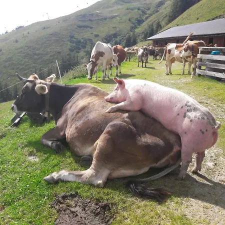 Διαμέρισμα Prossegger Neukirchen am Großvenediger