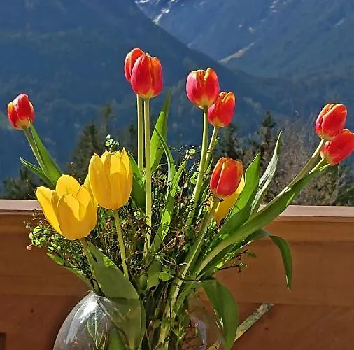 Apartamento Prossegger