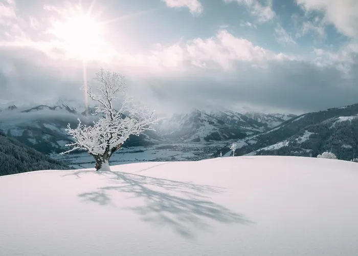 普罗斯格公寓 Neukirchen am Großvenediger