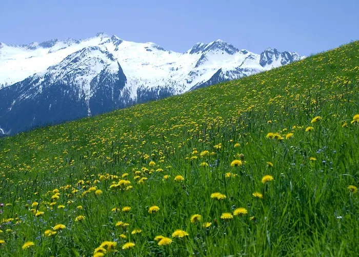 普罗斯格公寓 公寓 *