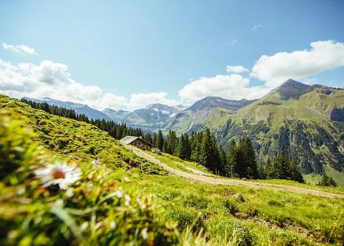 普罗斯格公寓 * Neukirchen am Großvenediger