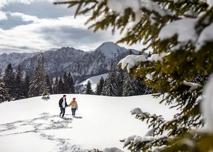 普罗斯格公寓 公寓